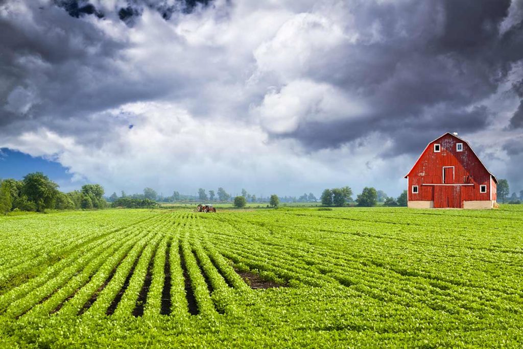 Agriculture Farm Clouds