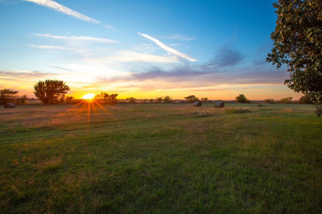 Landscape Sun Agriculture