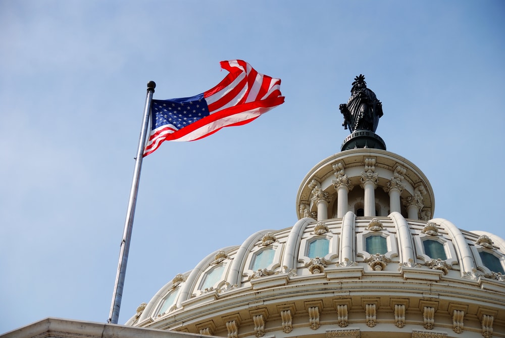 Congress Capitol Flag