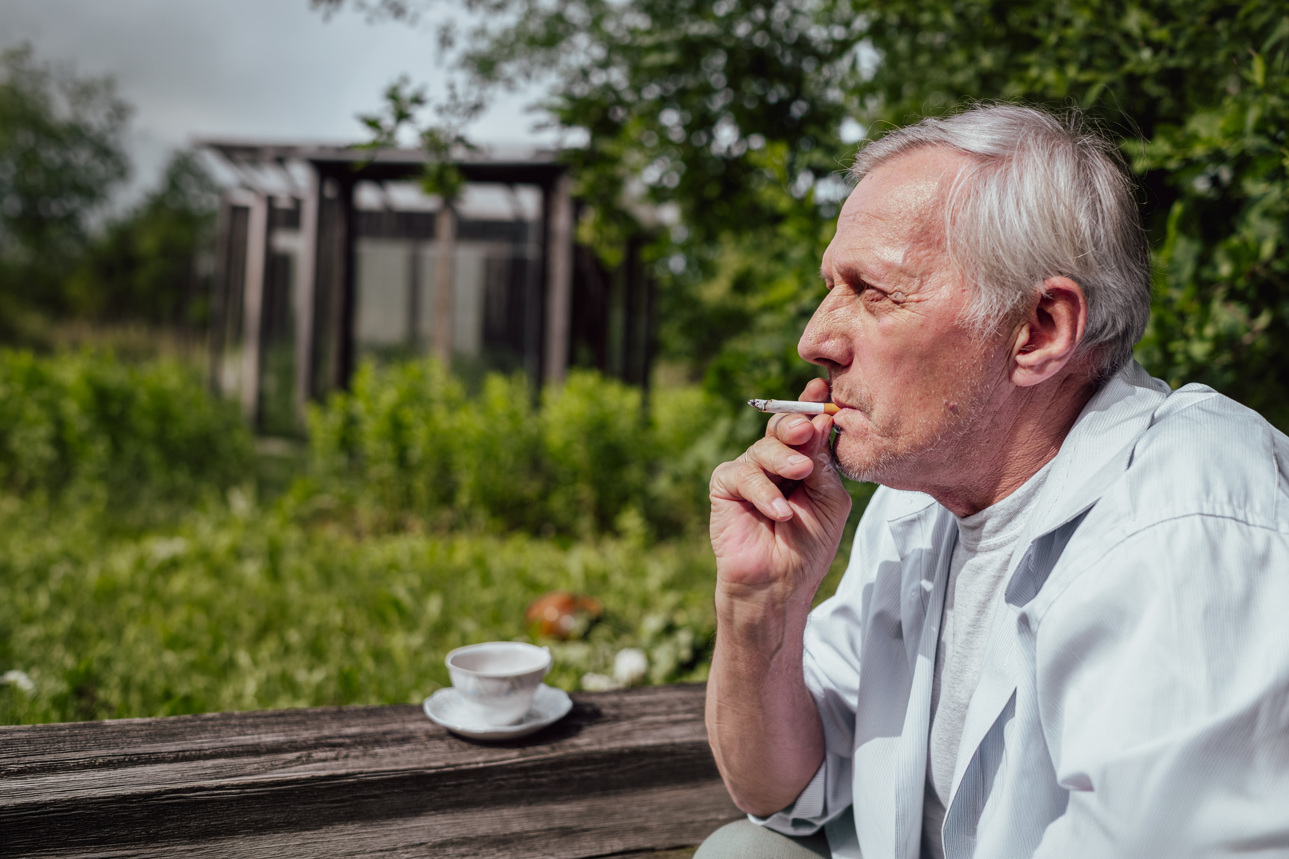 why do old people smoke cigarettes Addressing the Stagnation of Smoking Cessation in Older Adults: Behavioral  Barriers, Harm Reduction, and Policy Reform